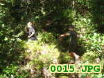 Picture 0015