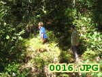 Picture 0016