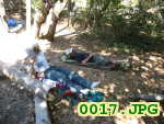 Picture 0017