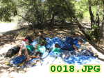 Picture 0018