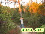 Picture 0033