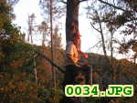 Picture 0034