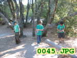 Picture 0045