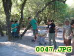 Picture 0047