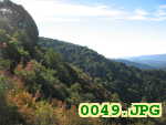 Picture 0049