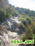 Picture 0050