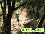 Picture 0051