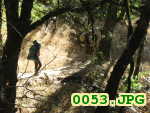 Picture 0053