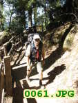 Picture 0061