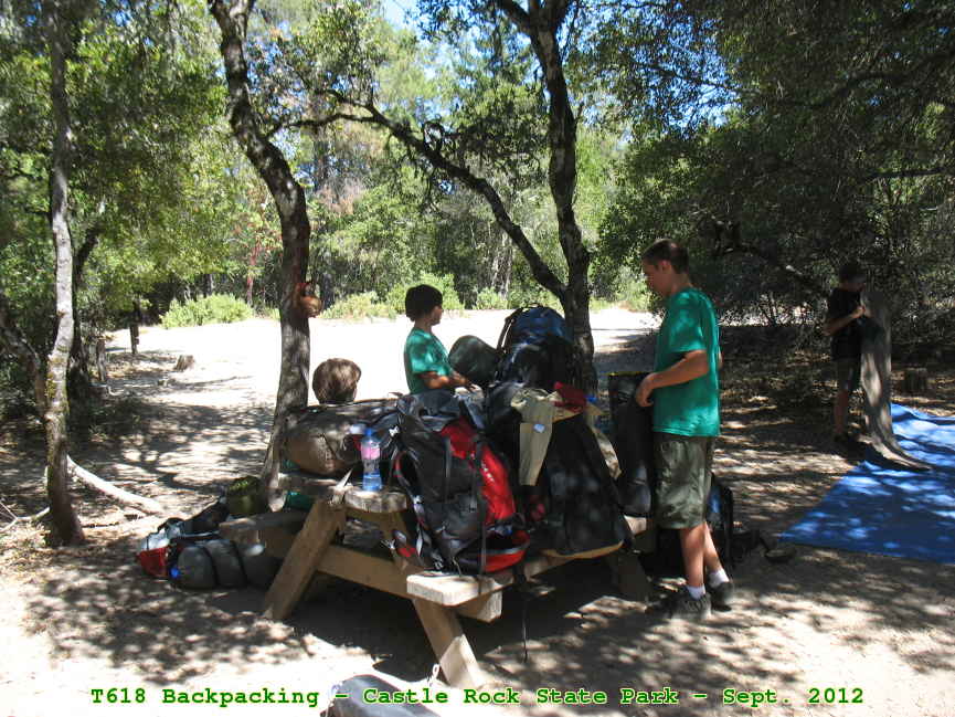 Picture 0012