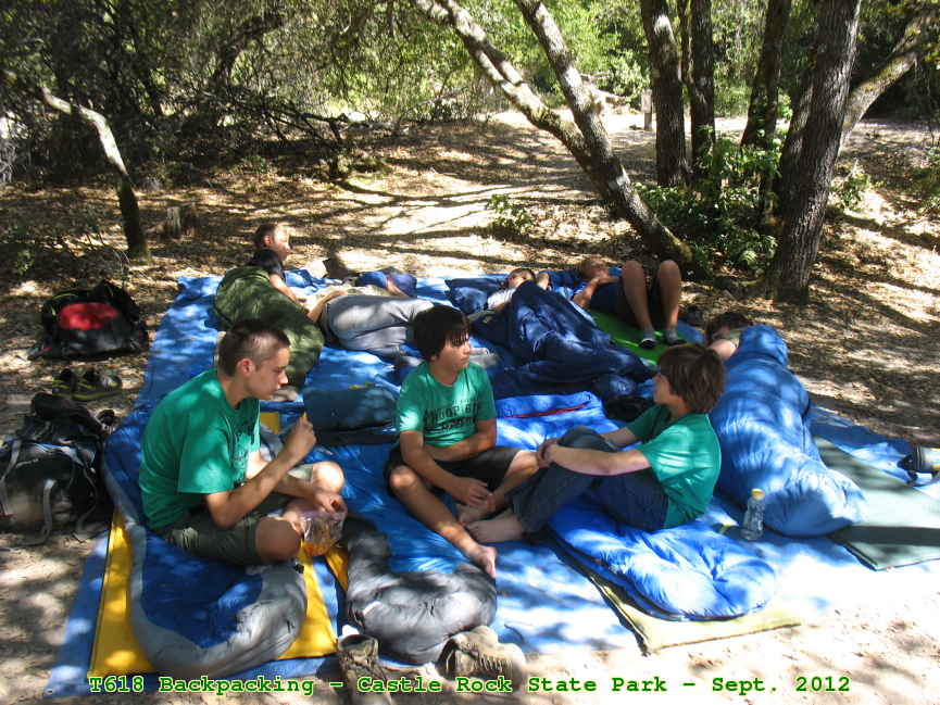 Picture 0013