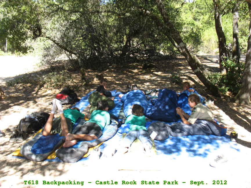 Picture 0018