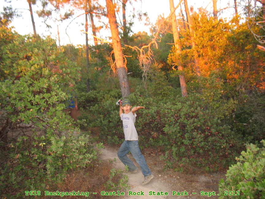 Picture 0033