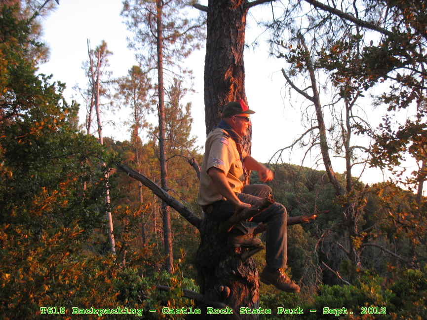 Picture 0034