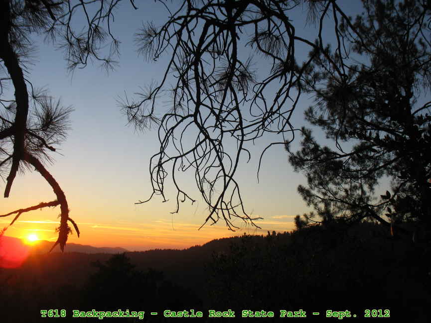 Picture 0035