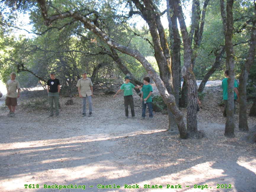 Picture 0043