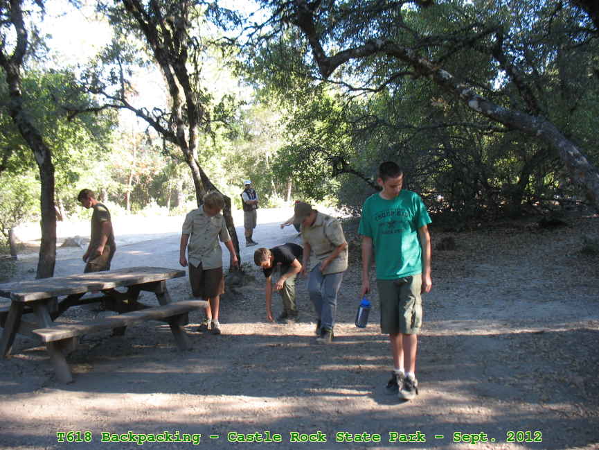 Picture 0044