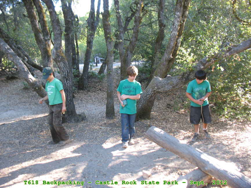 Picture 0045