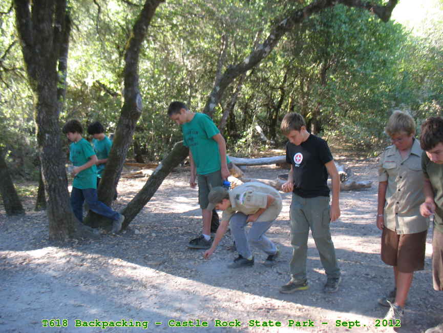 Picture 0047