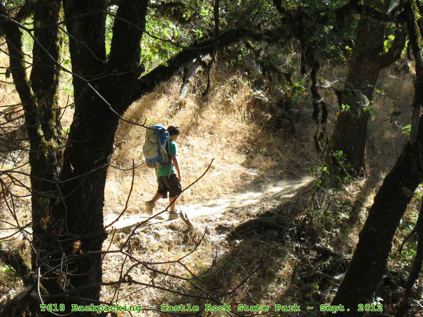 Picture 0051