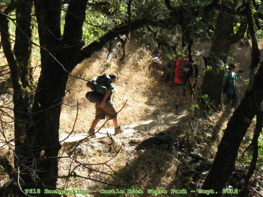 Picture 0052