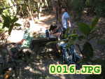 Picture 0016