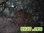 Picture 0027