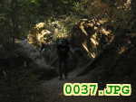 Picture 0037