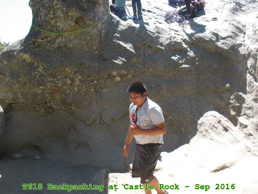 Picture 0007