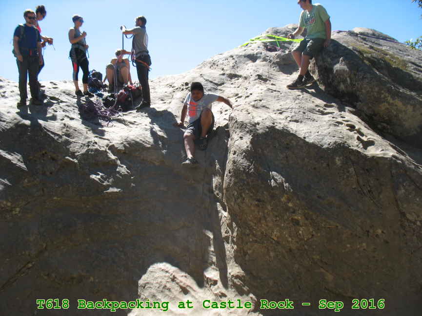 Picture 0011