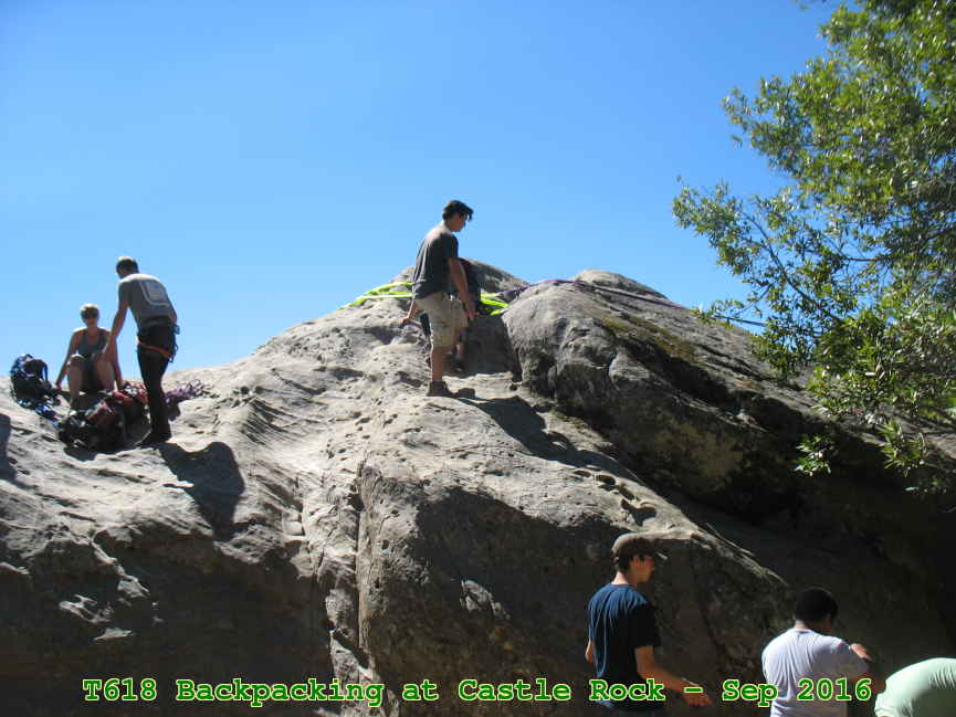 Picture 0012