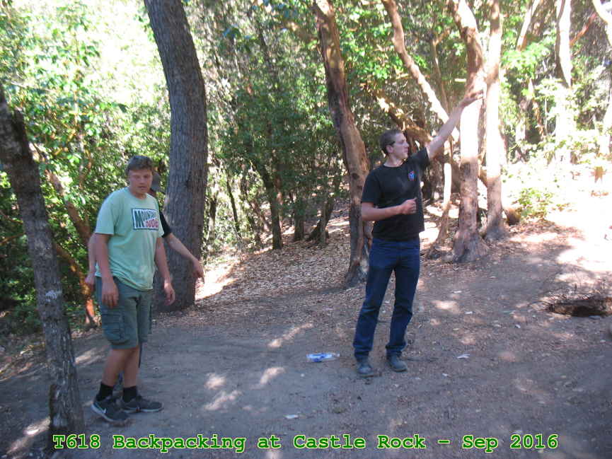 Picture 0017