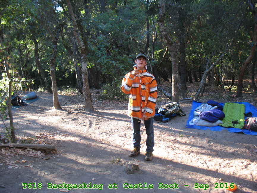 Picture 0018
