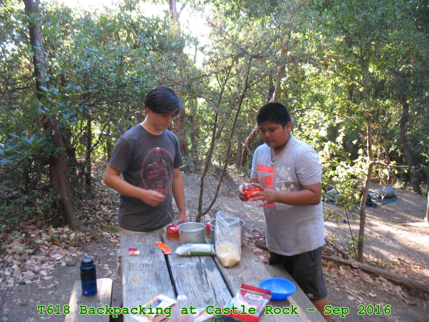Picture 0019