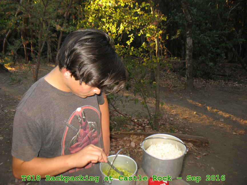 Picture 0021