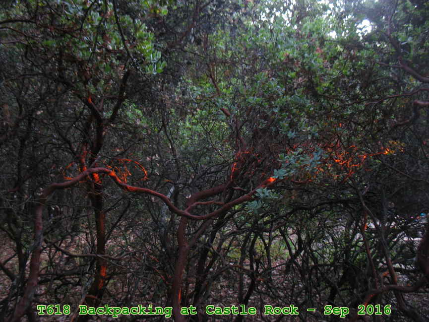 Picture 0026