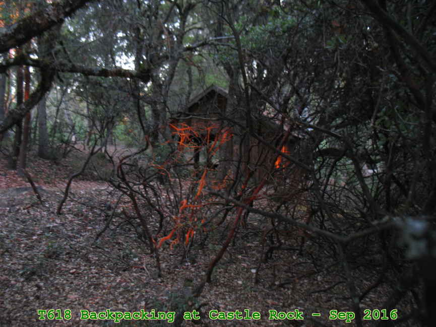 Picture 0027