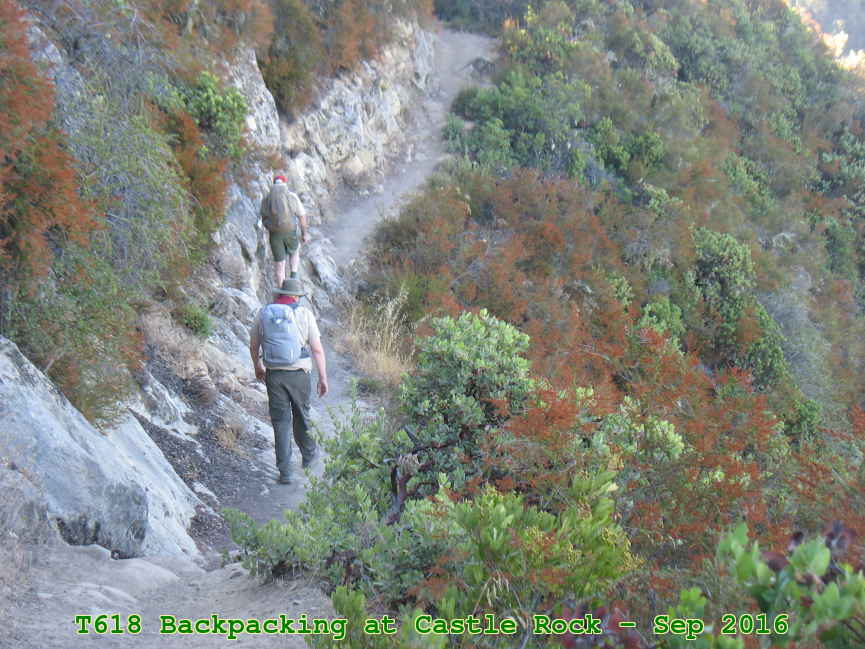 Picture 0029