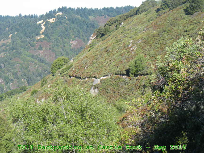 Picture 0032