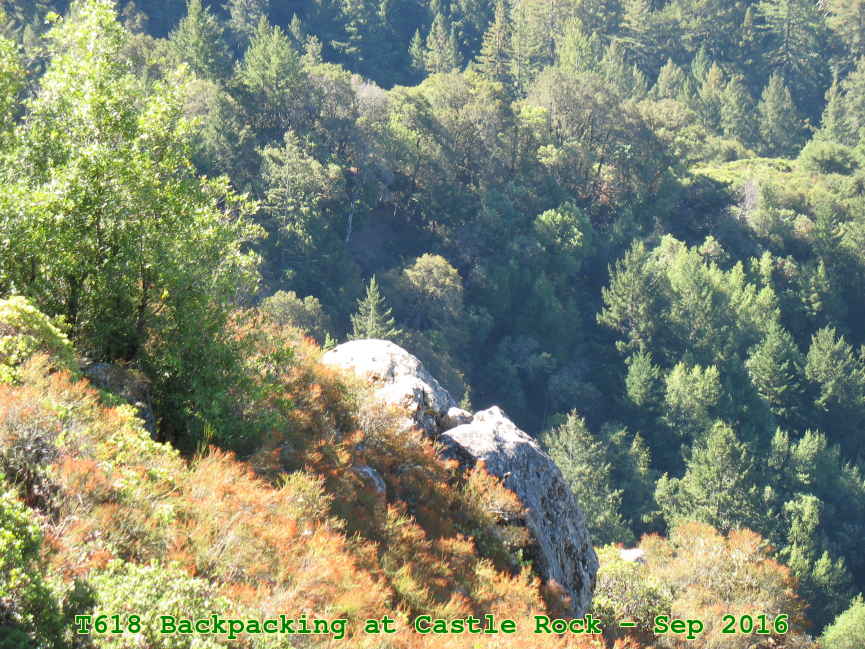 Picture 0033