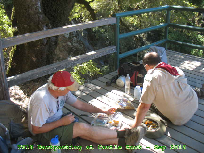 Picture 0035