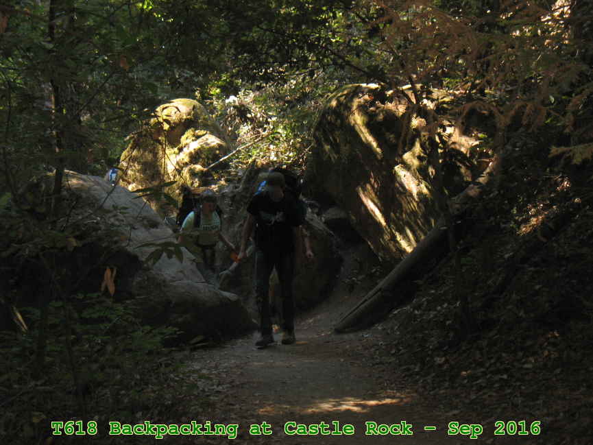 Picture 0037