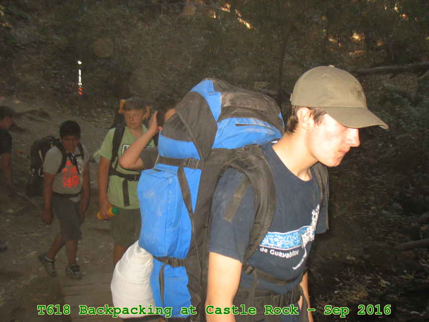 Picture 0038
