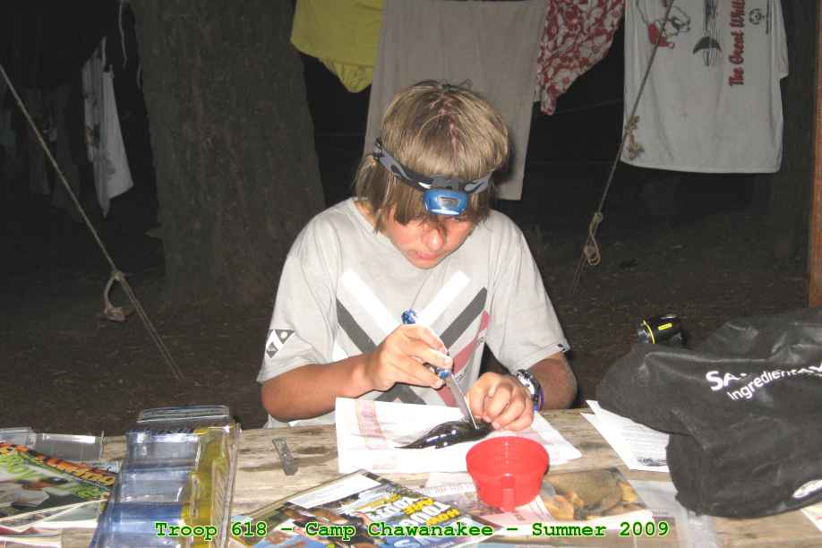 Picture 0012