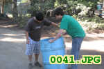 Picture 0041