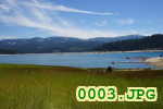 Picture 0003