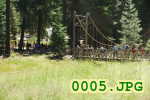 Picture 0005