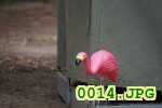Picture 0014