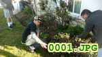 Picture 0001