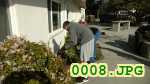 Picture 0008